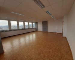 Pleskanje poslovnih prostorov